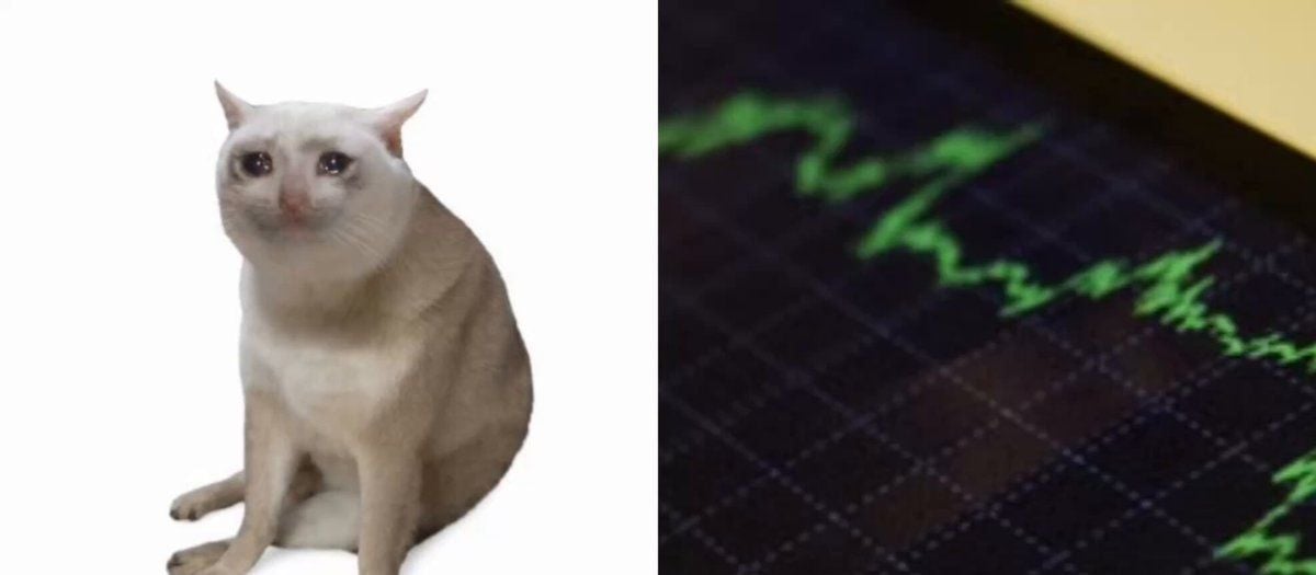 This giant whale has profited from the surge in CASHCAT...
