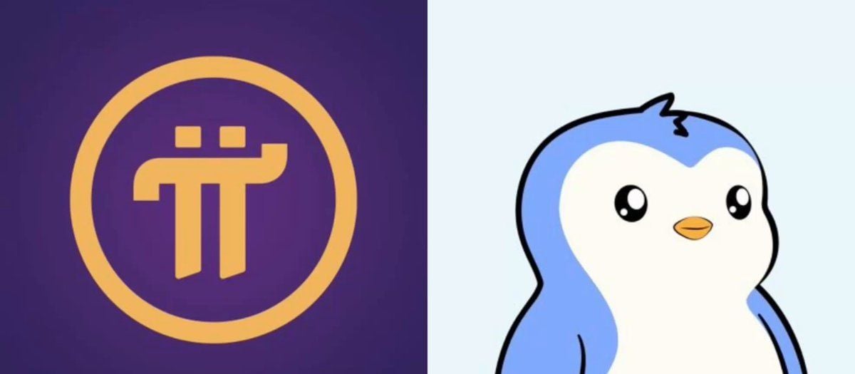 PENGU, PI and CASHCAT dominate the encryption space