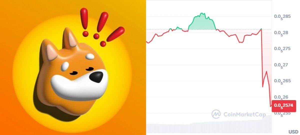 这会是$BONK迄今最大的打击吗？