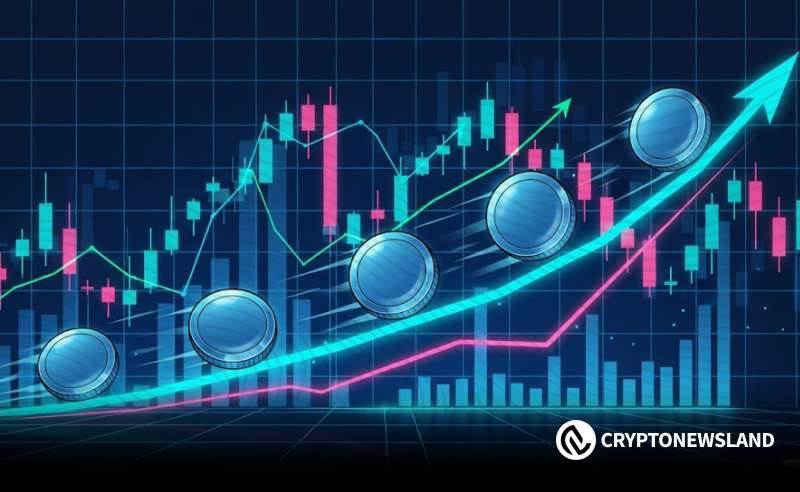 2026年最具统治力的三大加密货币——ZEC、DASH、DOGE