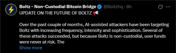 Boltz官方更新截图