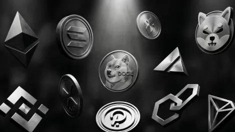 神秘笼罩：Zcash崛起之势不减