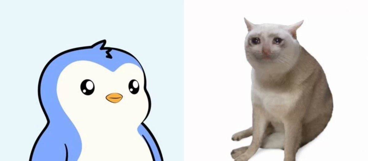 热门资产：Pengu、Cashcat与PumpFun领跑市场