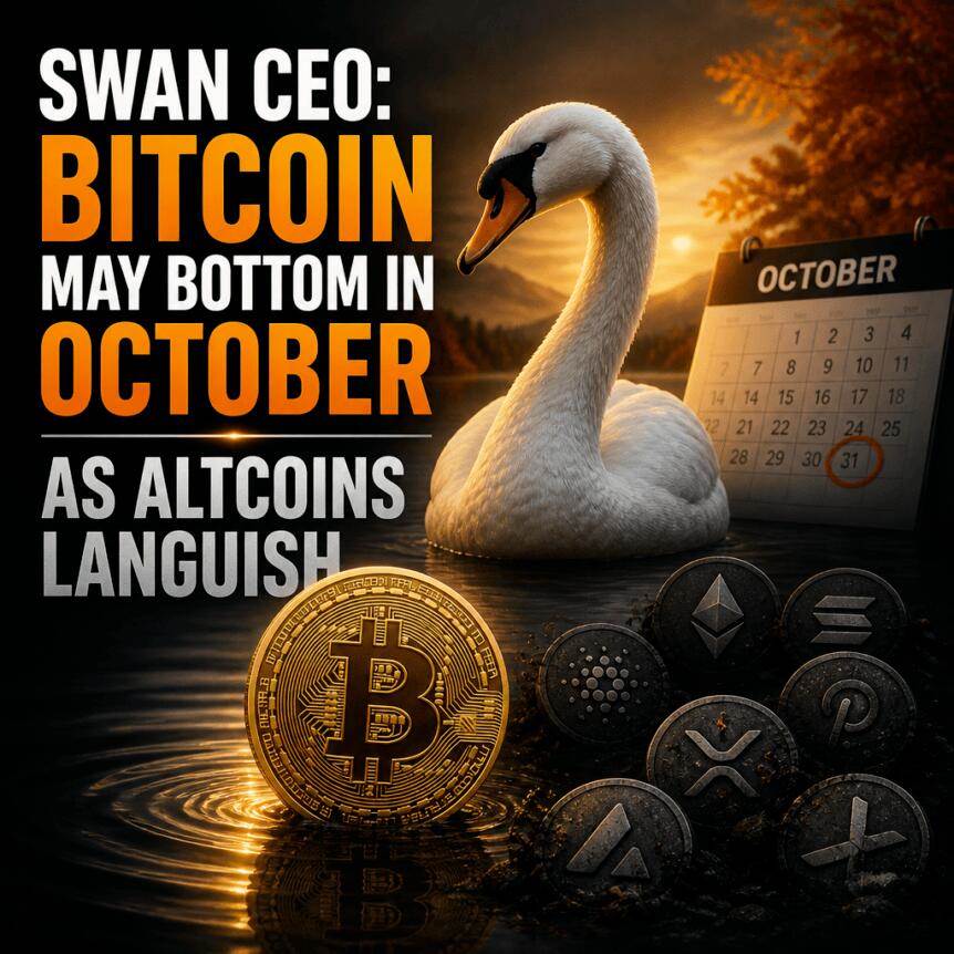 Swan CEO：比特币或于十月触底，山寨币仍低迷