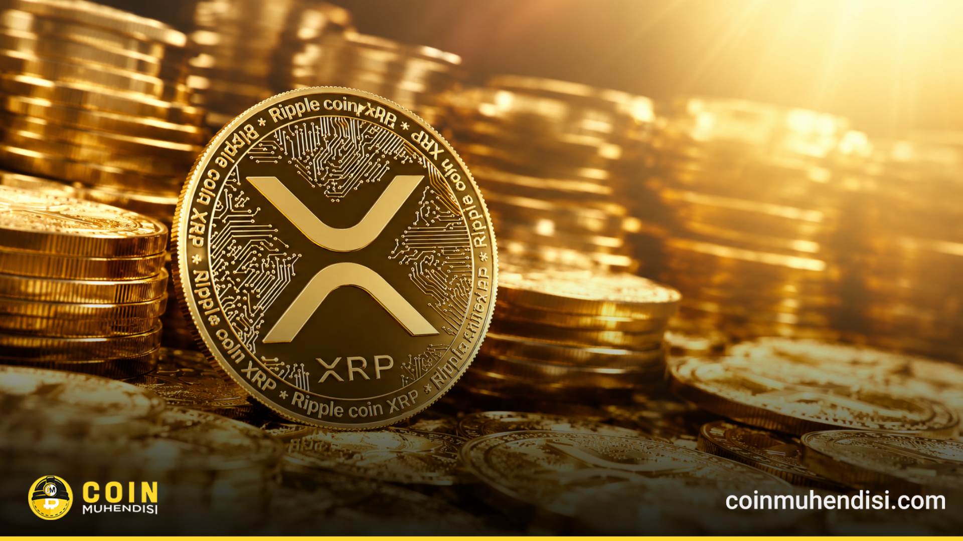 XRP的1美元之战：多空数据为何矛盾？