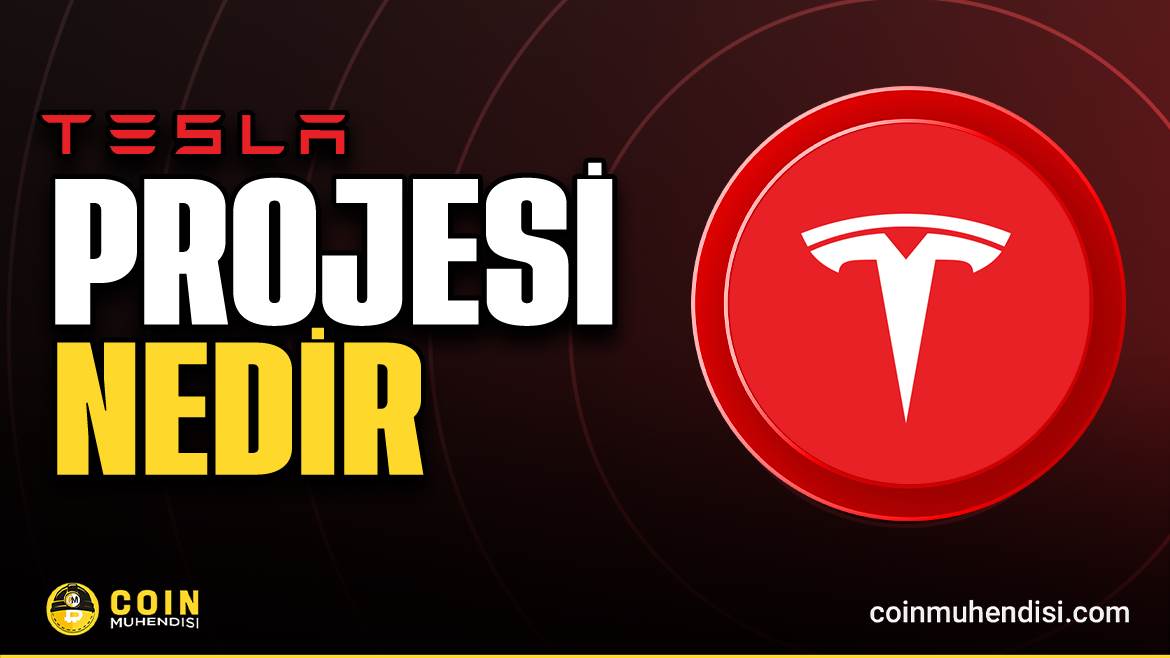 What is Tesla (TSLA)?