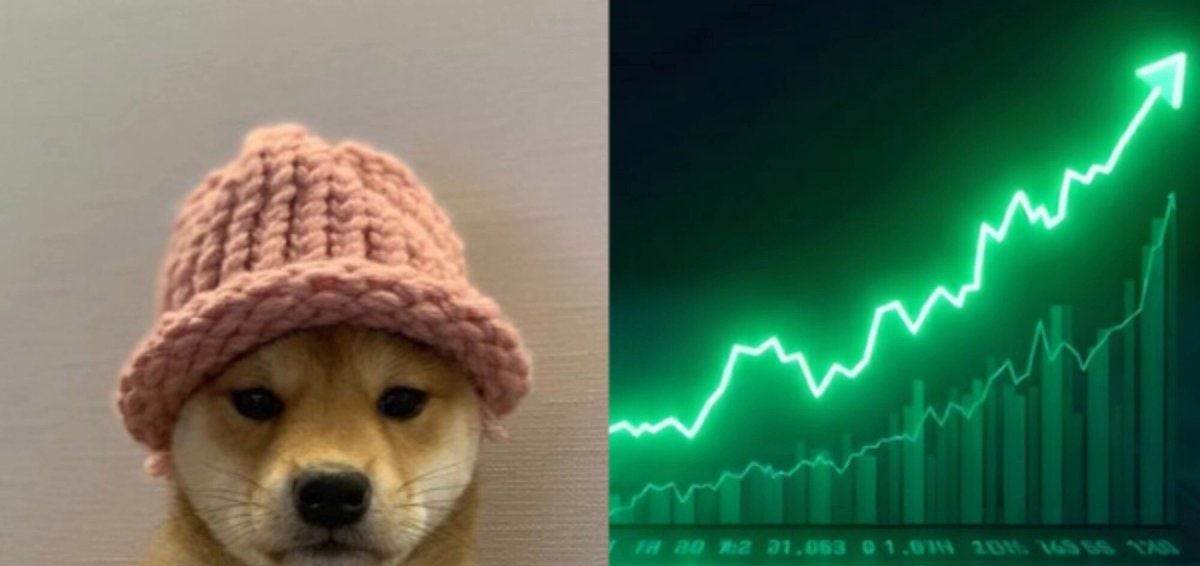 Dogwifhat 飙升13%，模因币涨势延续