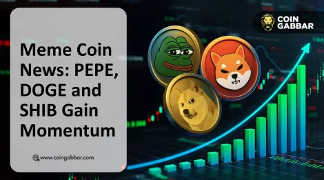 Memin News: Dog Coin, Pepe Coin and Shiba Coin Markets Rise Together