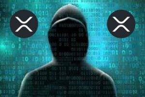 Xaman Wallet founder warns XRP holders: You have to see this