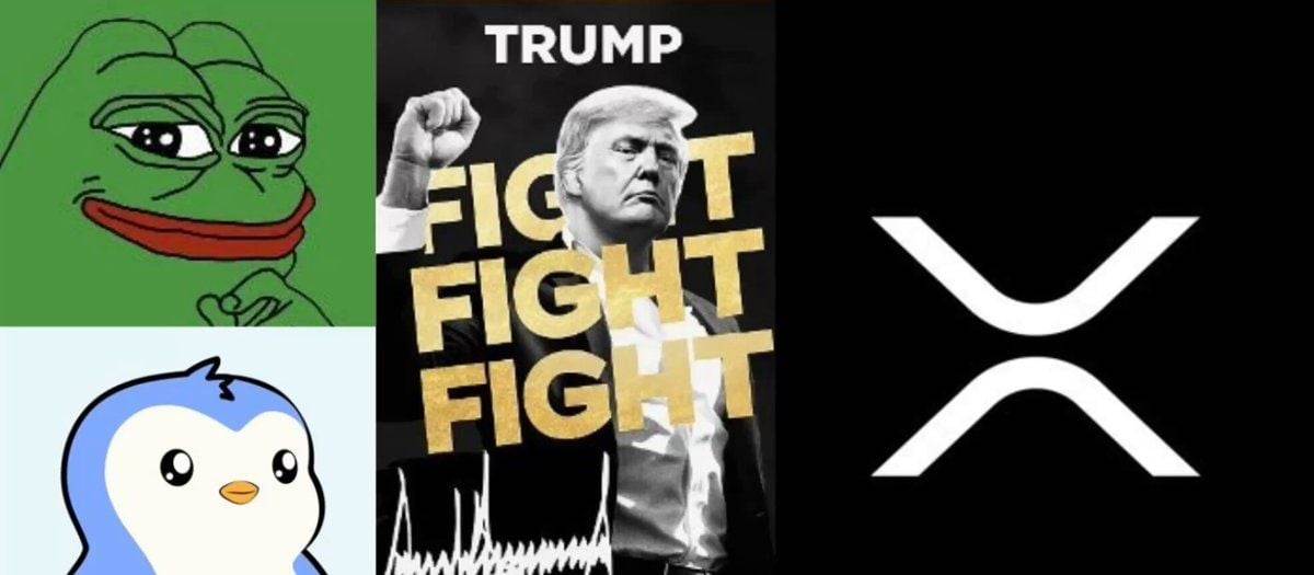 PENGU、PEPE、XRP 与 TRUMP 跻身本周涨幅榜前列