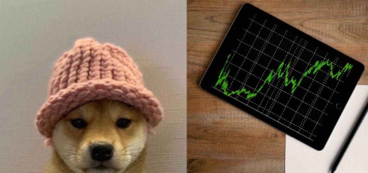 Dogwifhat一周飙升46%，迷因币兴趣随市场回暖回归