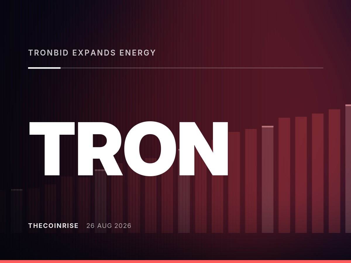 TronBid扩展TRON能源市场，降低USDT转账手续费