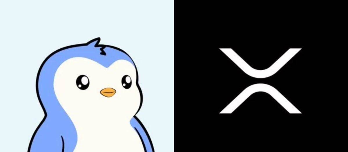 PENGU和XRP是目前的热门资产...
