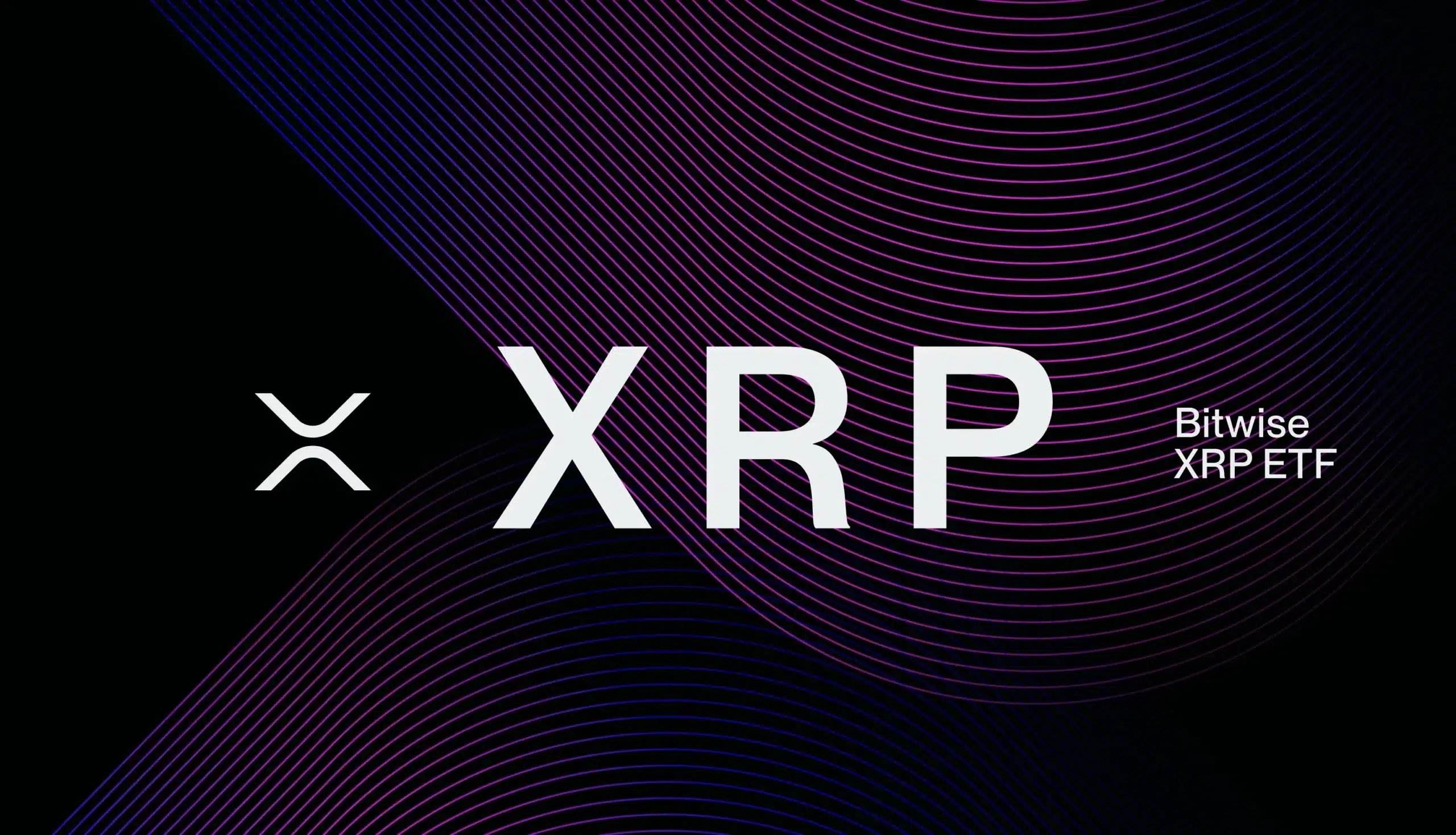 XRP在Bitwise向400位财富管理人士进行的演示中引发最强关注