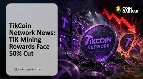 TikCoin网络上线日期、5%钱包限额及TIK减半更新