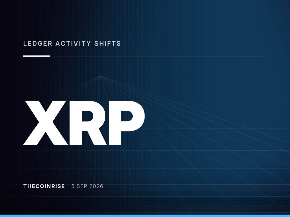 XRP账本活动变化：活跃账户减少，大额交易增多，转移价值上升