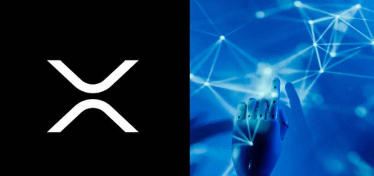 XRP账本上的代理支付清算了380万笔交易