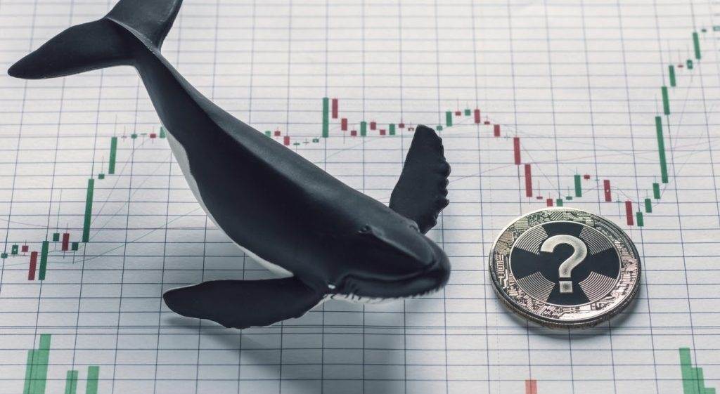 Large-scale whale activity occurred in Bitcoin and Altcoins after the release of inflation data-deta
