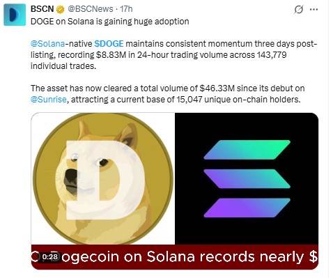 Solana链上DOGE数据截图