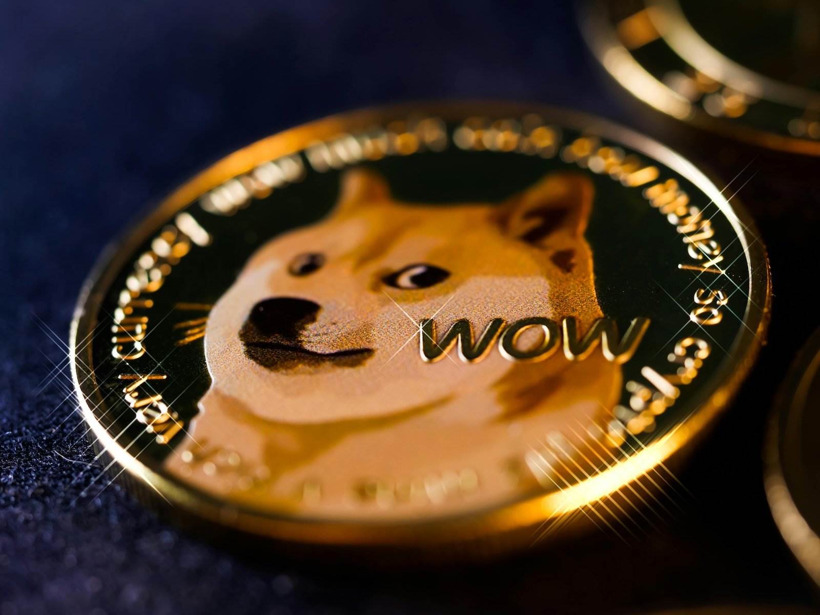 Bitwise closes its Dogecoin ETF after raising $722,000