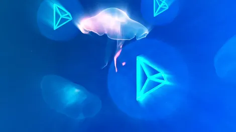 Chainflip suspends network, TRON integration encounters 736,442 USDT vulnerability