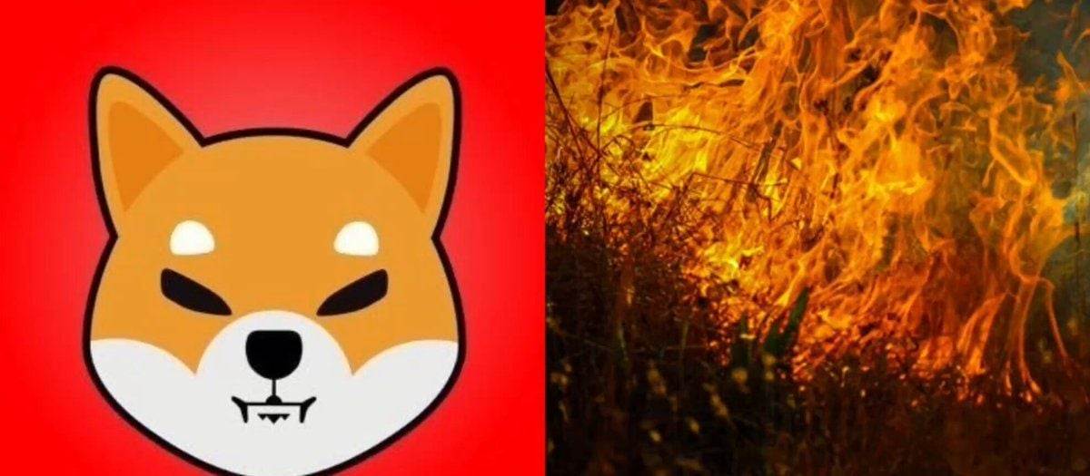 SHIB destruction has plunged 90% in the past 24 hours