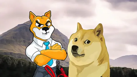 24 Hours of Turbulence in Shiba Inu: What Does This Mean?