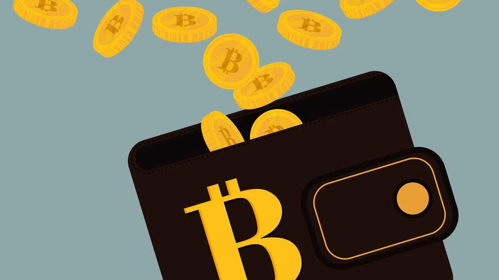 Vymopay发布比特币（BTC）、以太坊（ETH）及山寨币交易者自托管钱包对比指南：离开交易所前必查要点