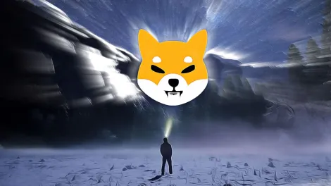 柴犬币网络迎来前所未有的增长