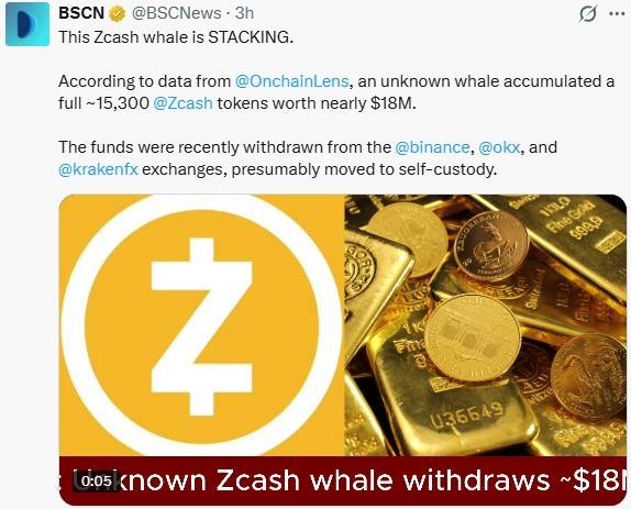 Zcash Whale Activity Image