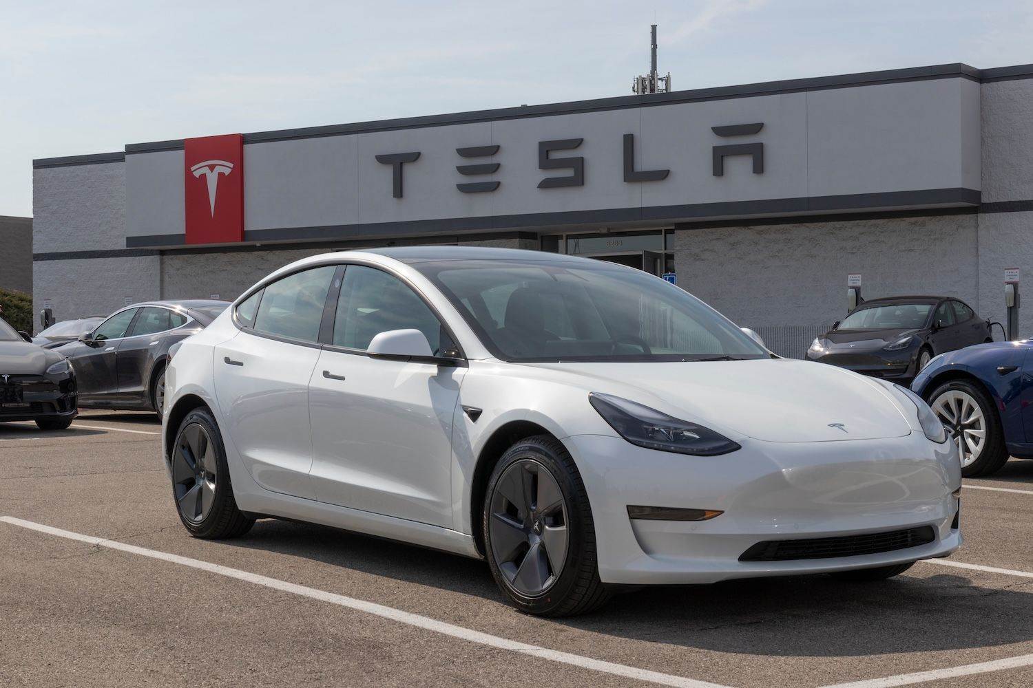 Tesla shares plummet 18%, Musk promises new machine launch season