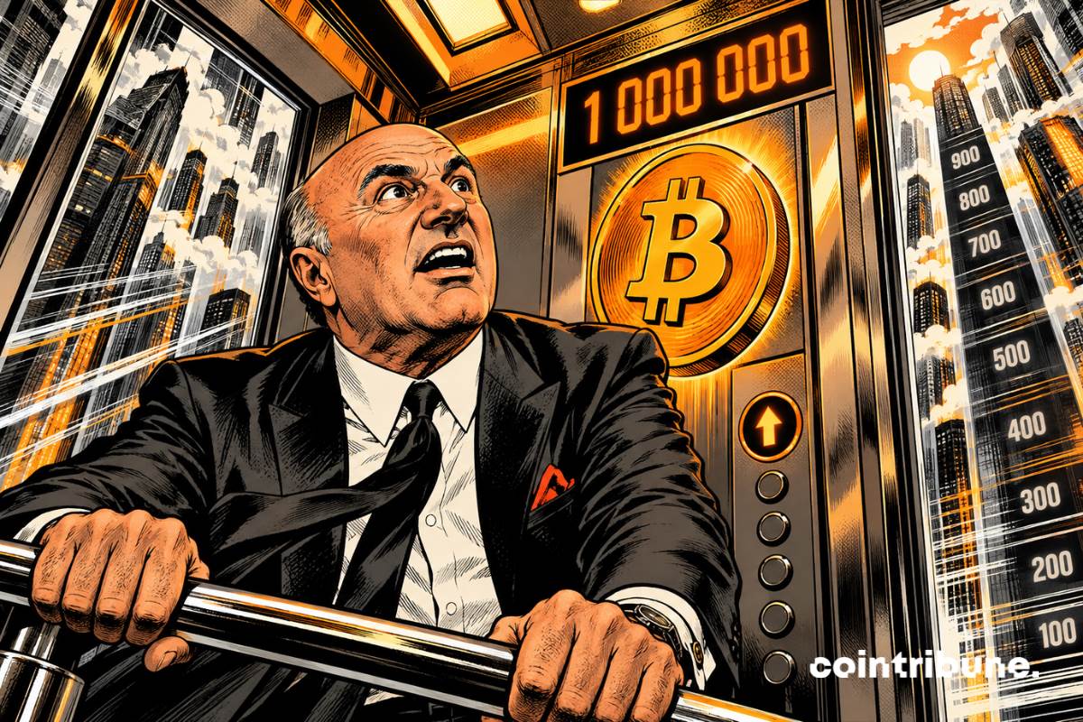 凯文·奥莱利：比特币有望达到100万美元
