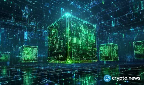 MultiversX调查潜在的主网问题