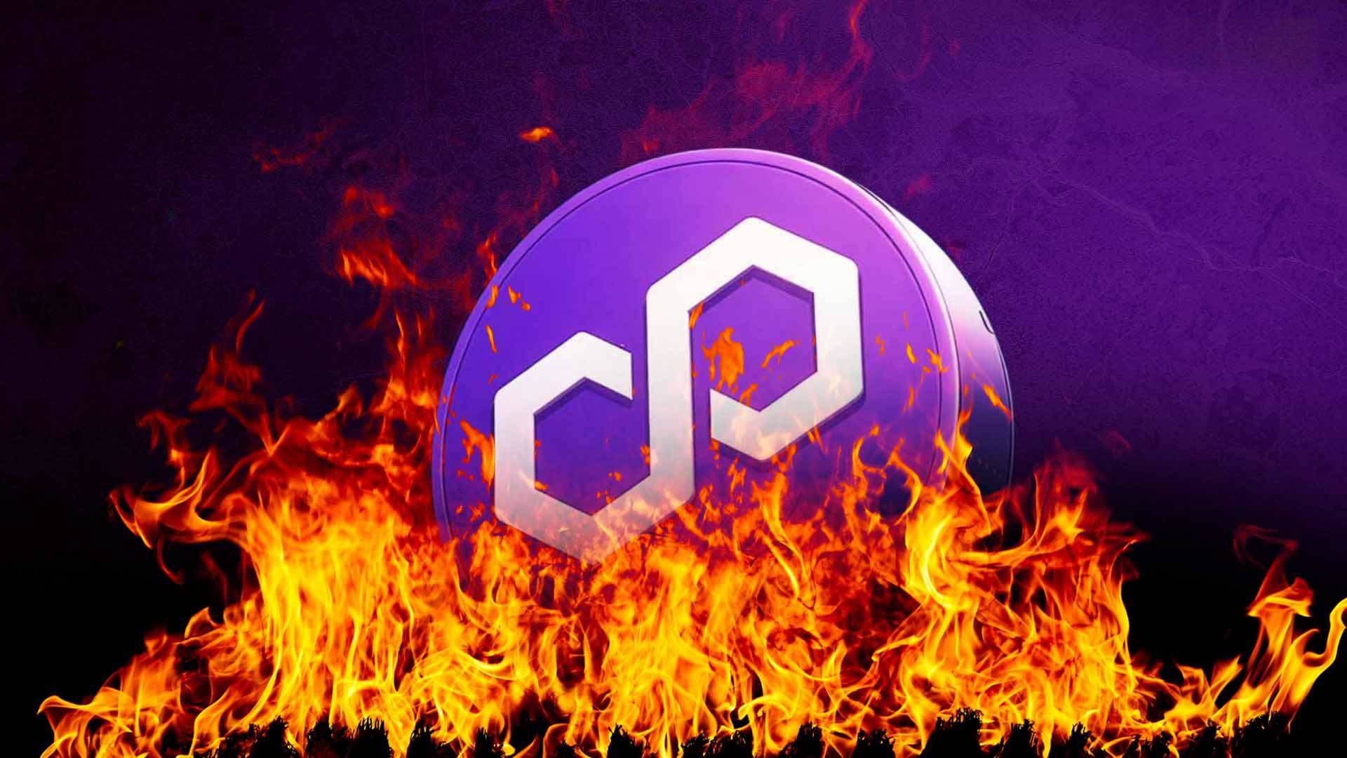 CEO of Polygon Foundation shows revenue of US$24.5 million, 100 million POLs are about to be destroy
