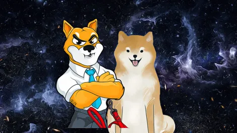 Shiba Inu coins rose significantly as the market rebounded and restarted