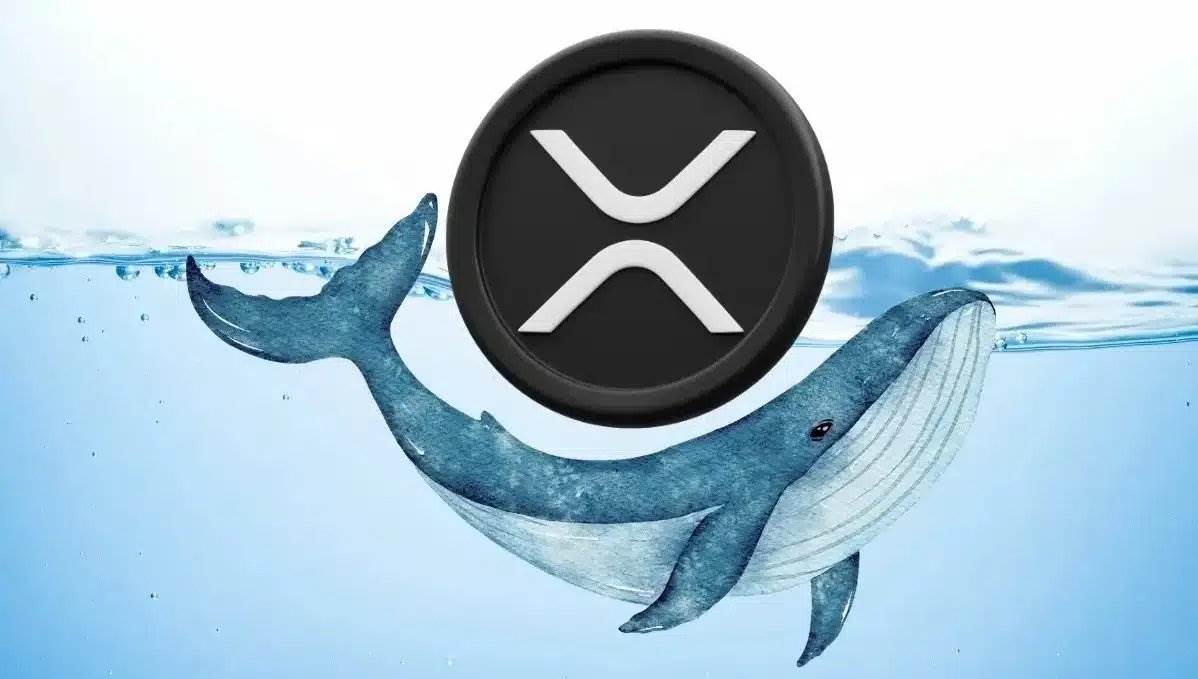 XRP巨鲸买入15.4亿枚代币，2美元目标再现