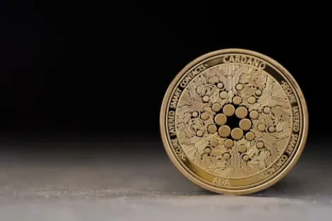 Cardano 选民否决了 Input Output 提出的 1200 万 ADA 请求