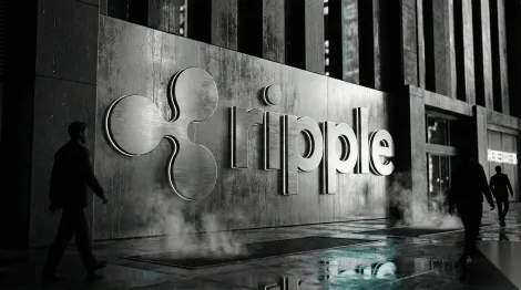 XRP突发异动：深入解析近期鲸鱼资金动向
