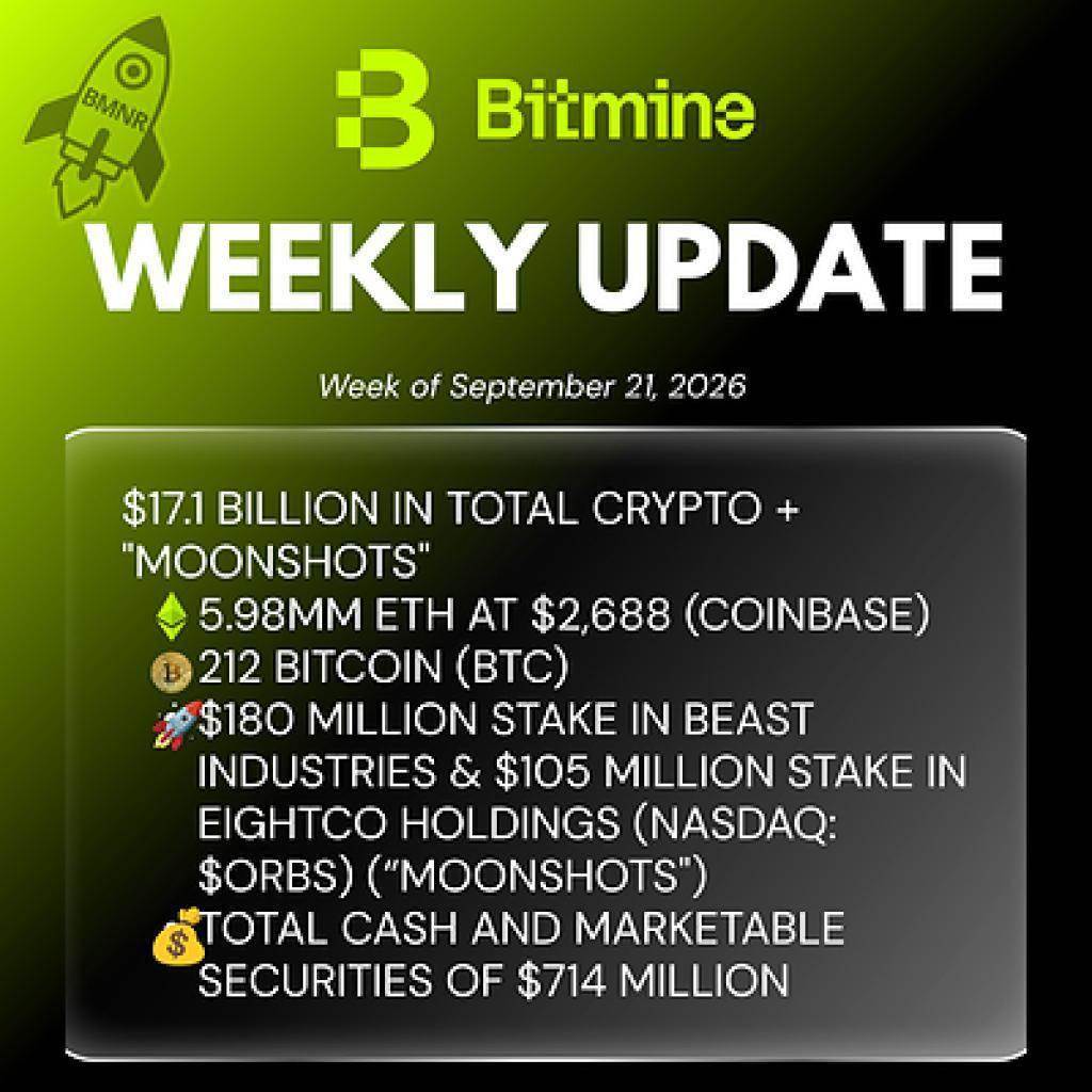 Bitmine Immersion Technologies (BMNR) announced that Ethereum has held 5.98 million positions, with