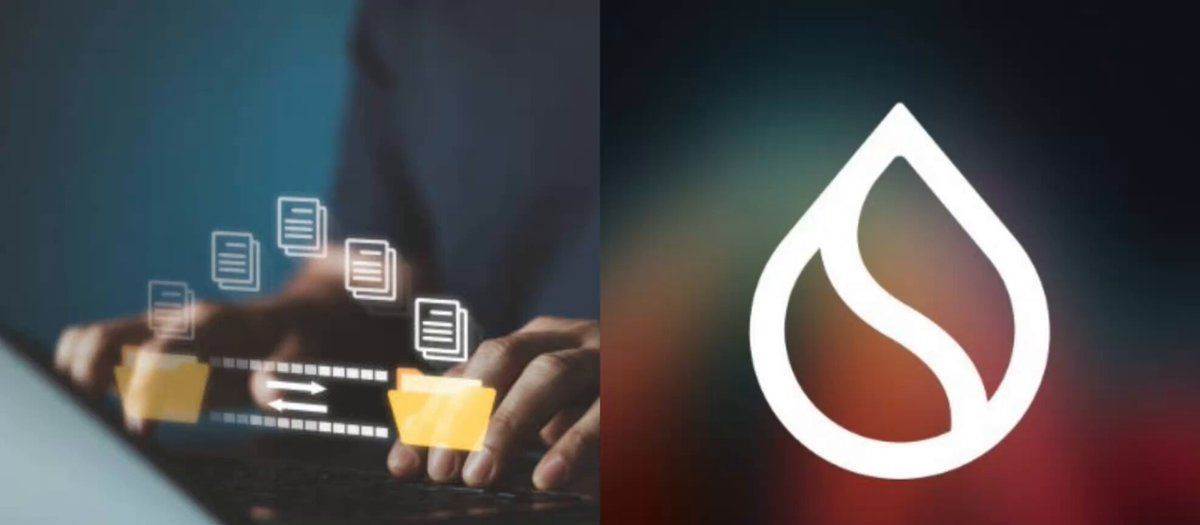 Sui Network 今年将推出机密转账功能