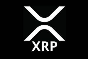 Long-term cryptocurrency holders: XRP will experience vertical black swan event