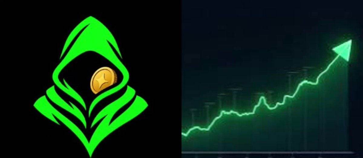 Robinhood平台上的HOOD模因币火爆异常！