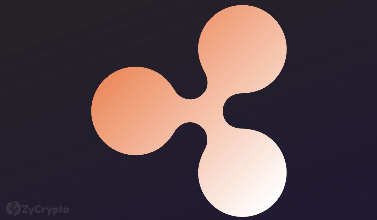 前Ripple首席技术官解析：XRP在何种价格下有望超越比特币市值