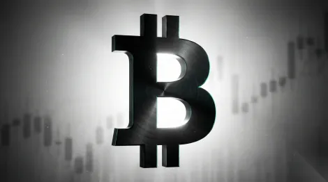 大量资金涌入美国比特币ETF，反映投资者热情经久不衰
