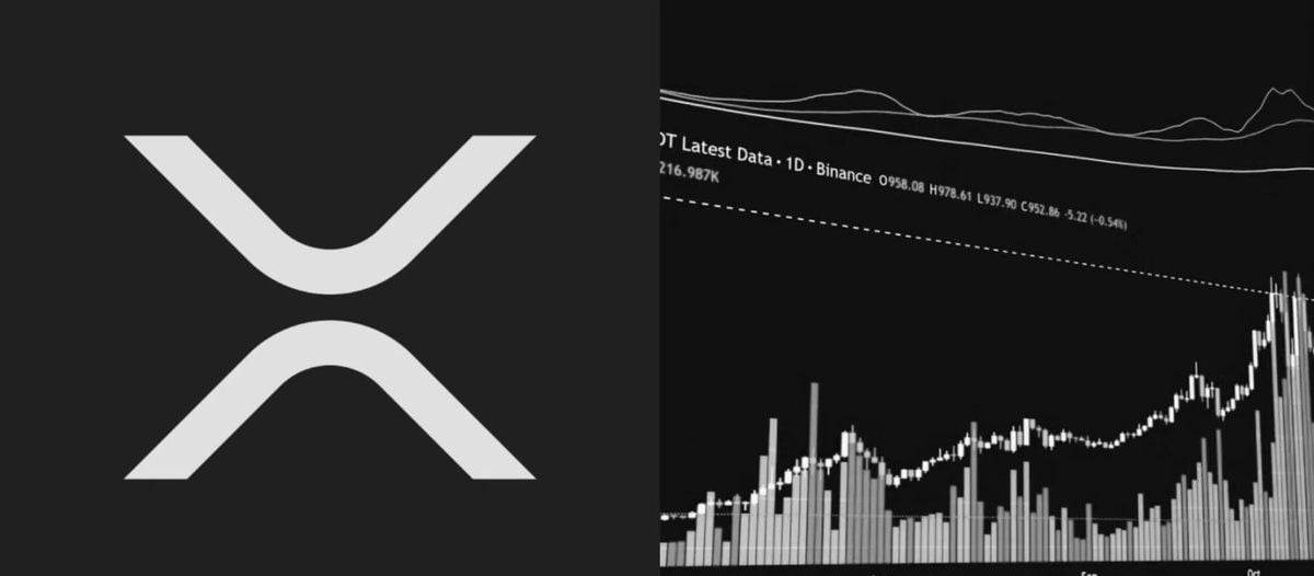 现货XRP ETF有望迎来精彩一周。