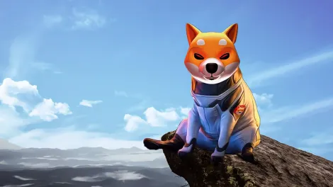 柴犬币的十月：逆势而上，表现非凡