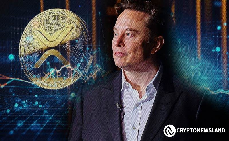 XRP支付进入X平台辩论