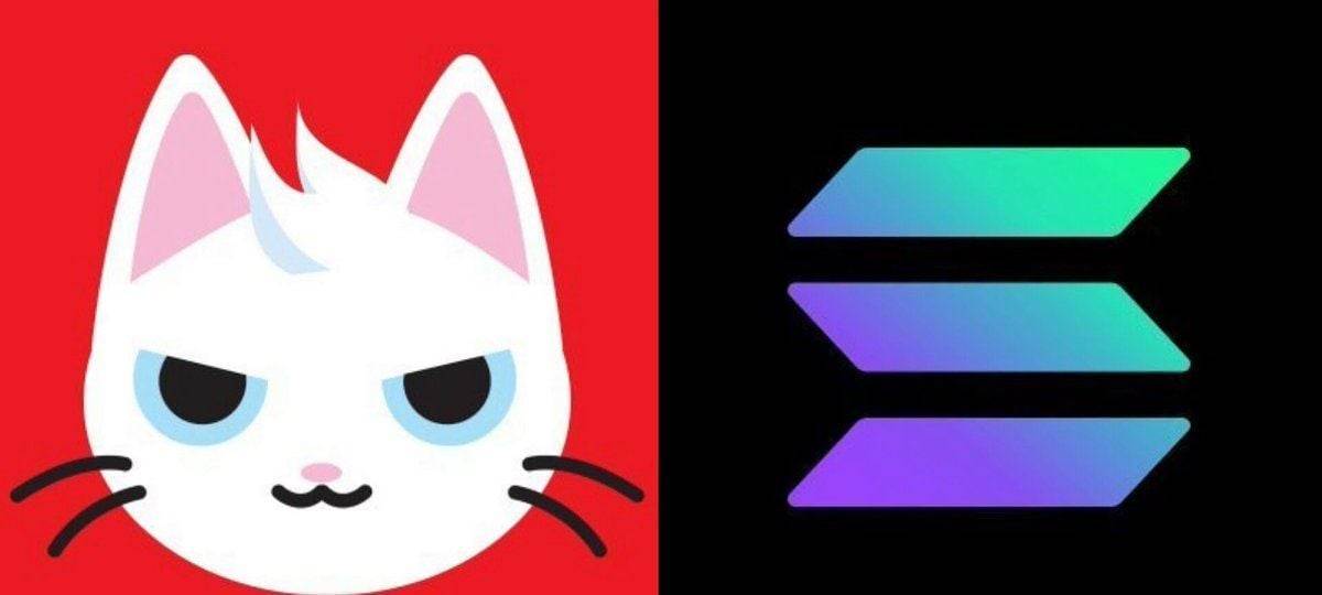 MEW强势回归，Solana模因币热潮再现