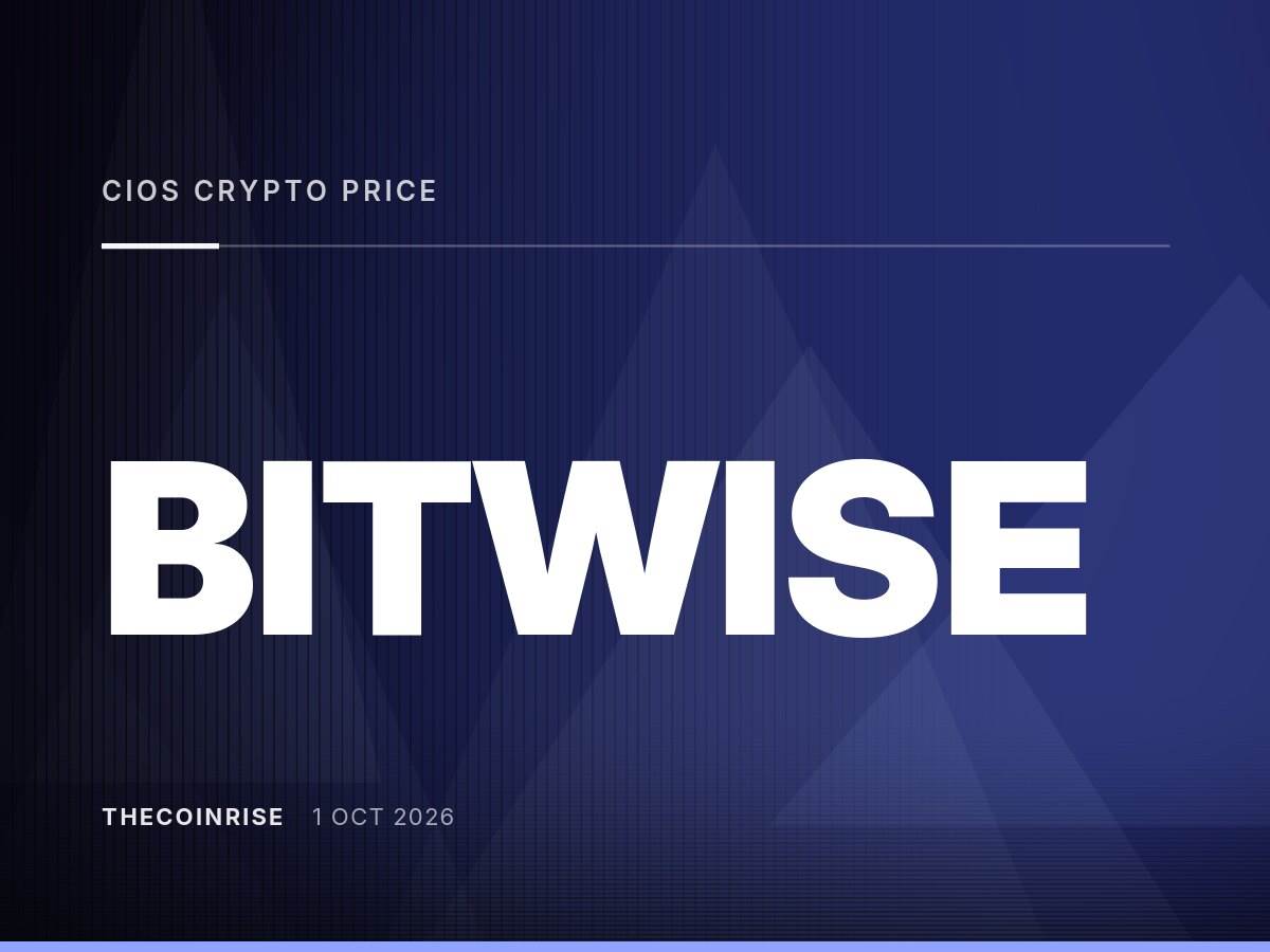 Bitwise CIO关于加密价格上涨的声明在不同报道中存在差异