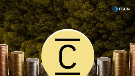 关于混凝土的CT代币，你应该了解什么？